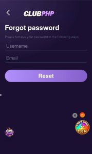 ✨ Step 2: provide the username and email information you registered earlier.