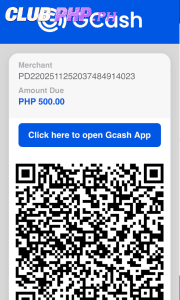 Step 5: The GCash deposit QR code appears.